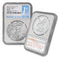 1 oz American Silver Eagle Coin Q643