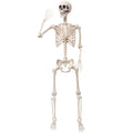 5.4Ft Movable Joints Plastic Skeleton F913253