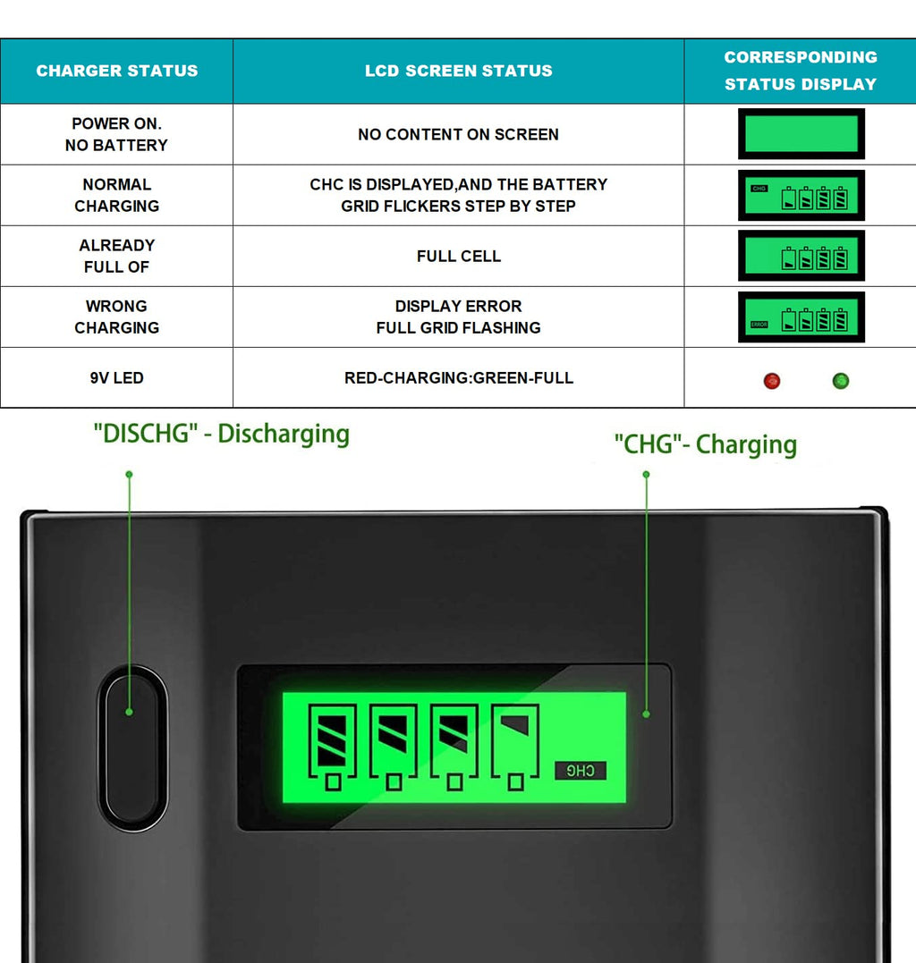 Rechargeable D Batteries with Charger D15526