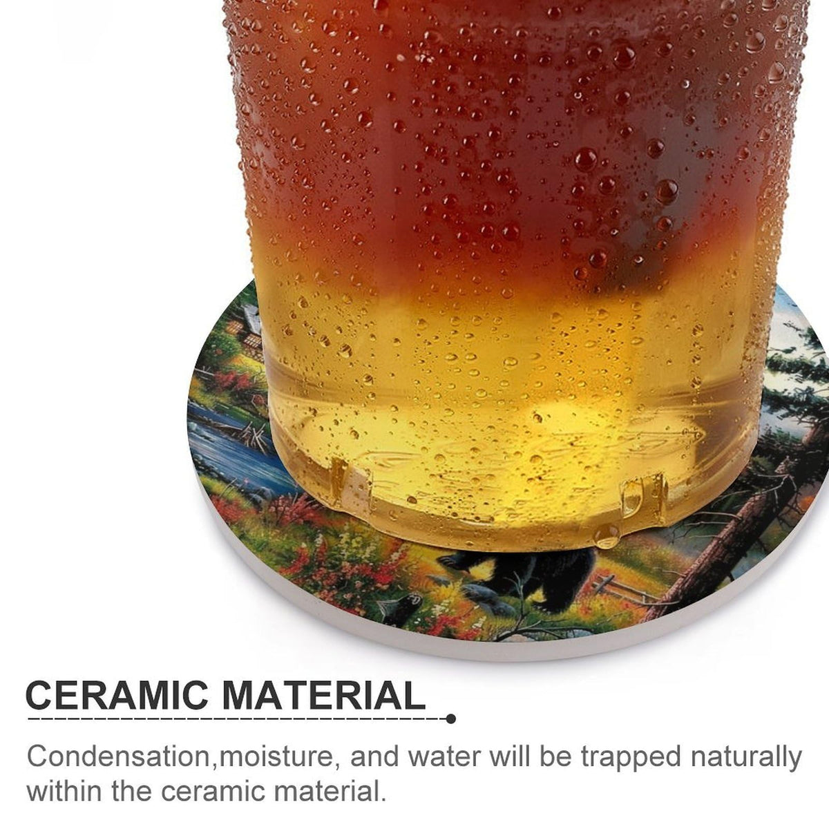 Absorbent Ceramic Stone Coasters Set of 4 Cork Base S77496