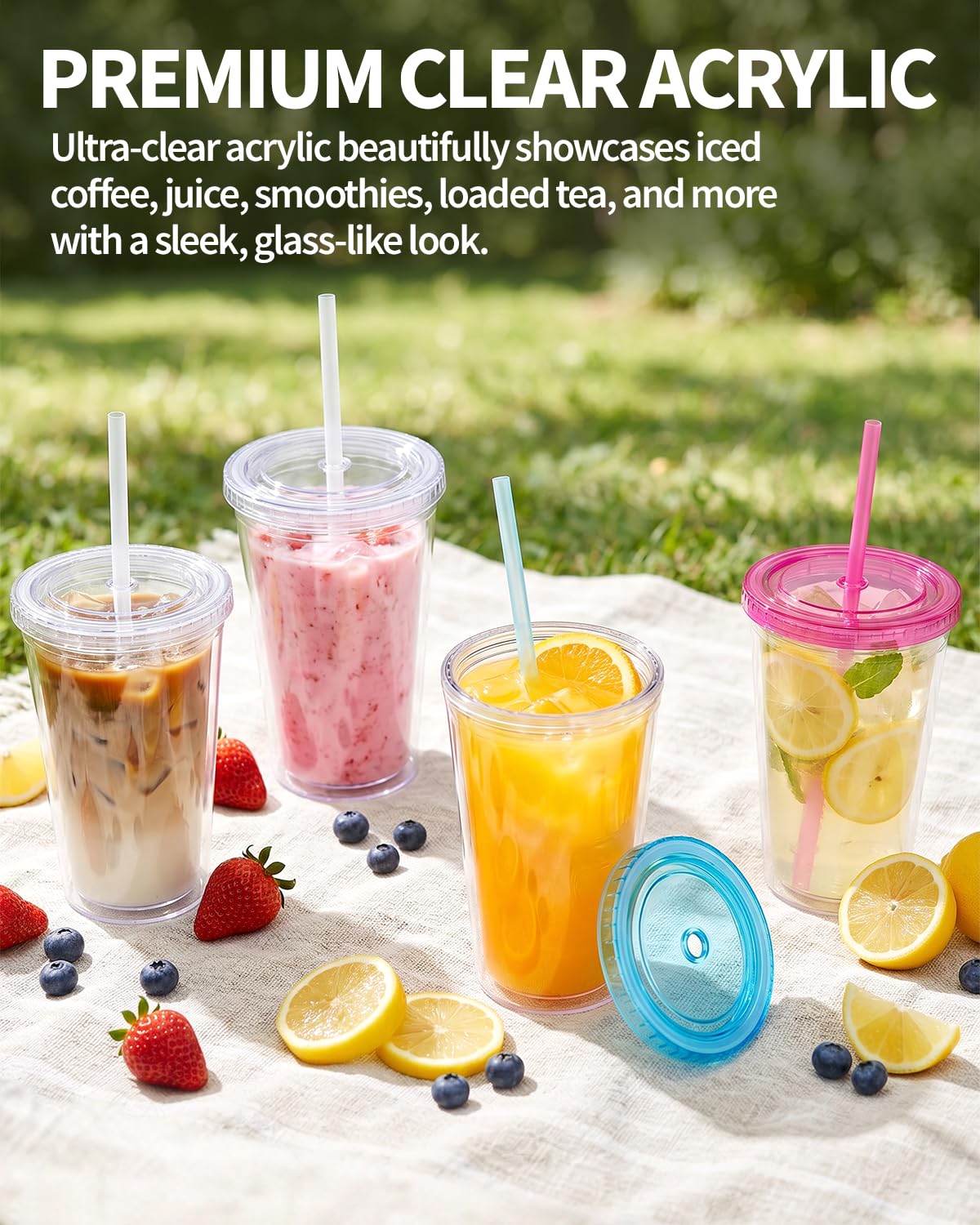 Clear Double Wall Plastic Tumbler with Lid and Straw 16 oz, 2 Pack R4872