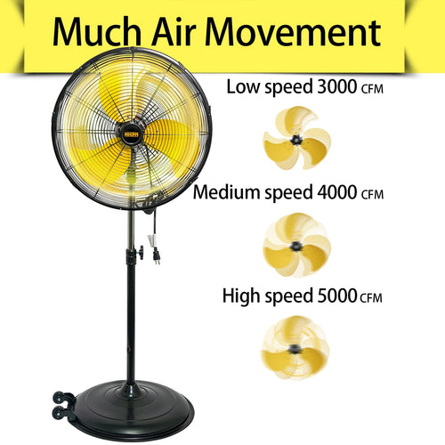 20 Inch 3-Speed Oscillating Pedestal Fan K95962
