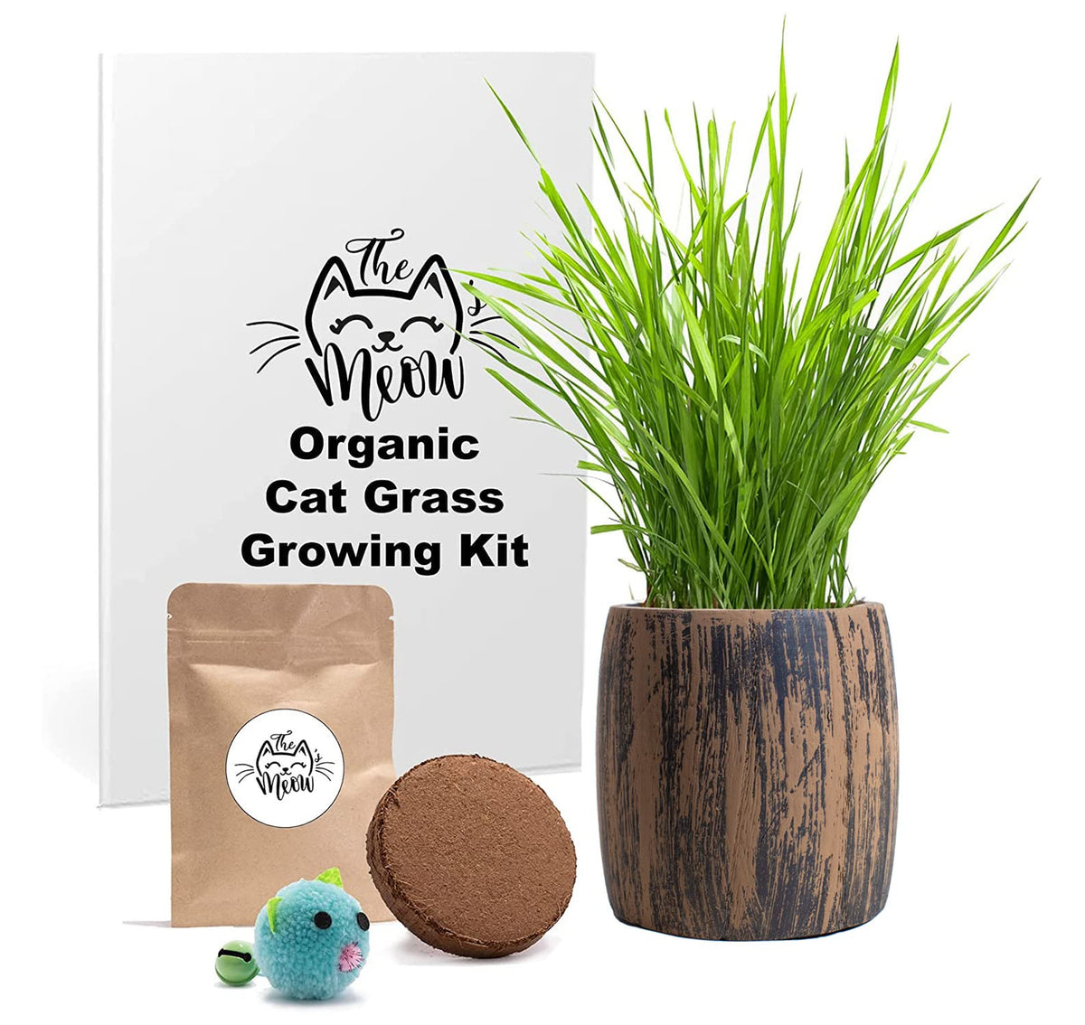 Cat Grass Kit Organic Seed & Soil for 4 Plantings C330