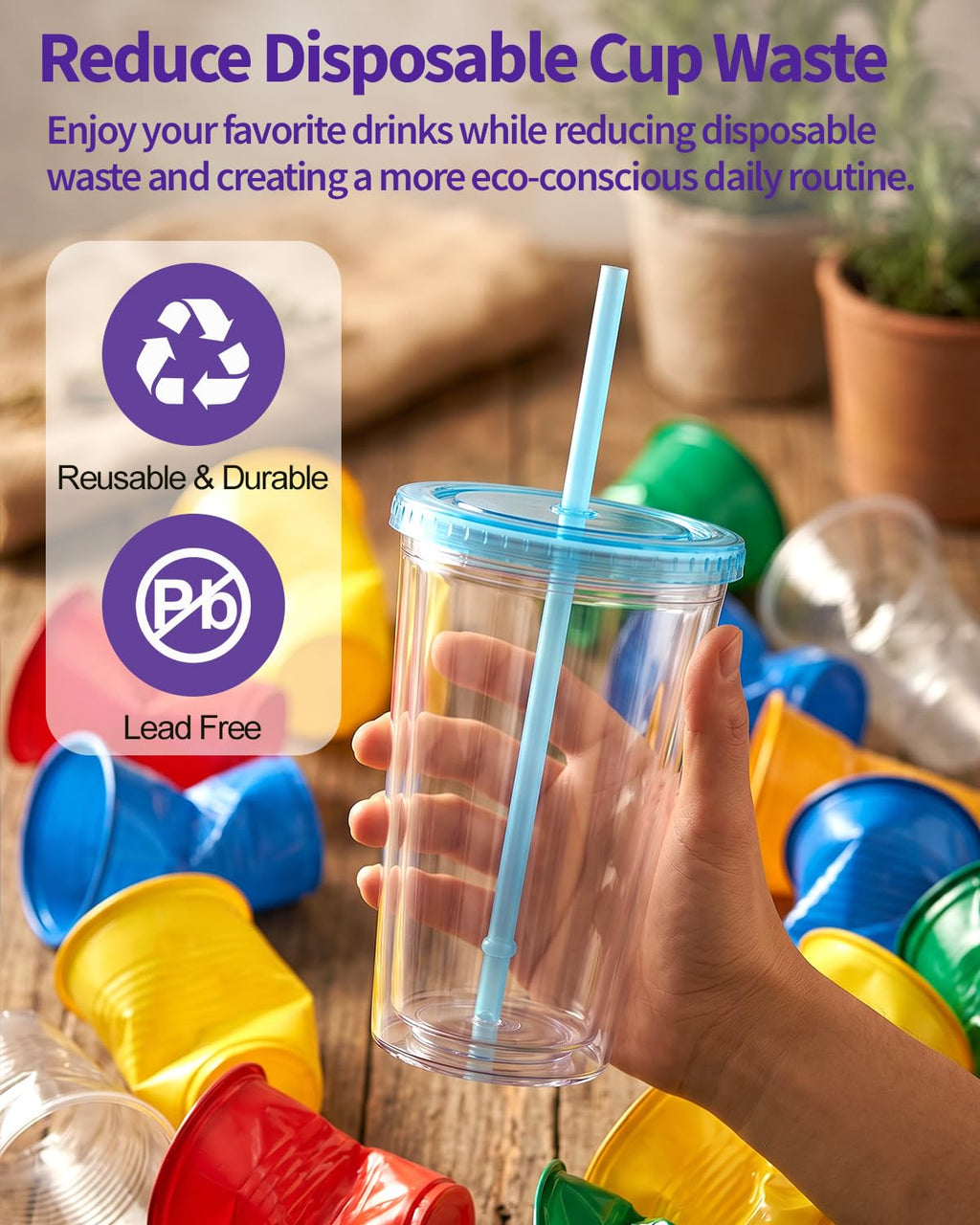 Clear Double Wall Plastic Tumbler with Lid and Straw 16 oz, 2 Pack R4872
