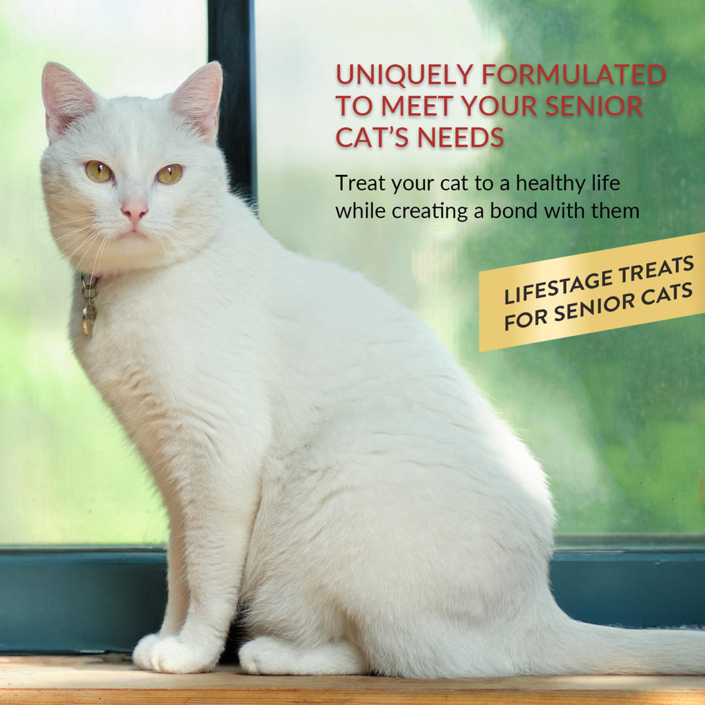 Lickable Cat Treats Tuna Chicken Variety 60ct B207