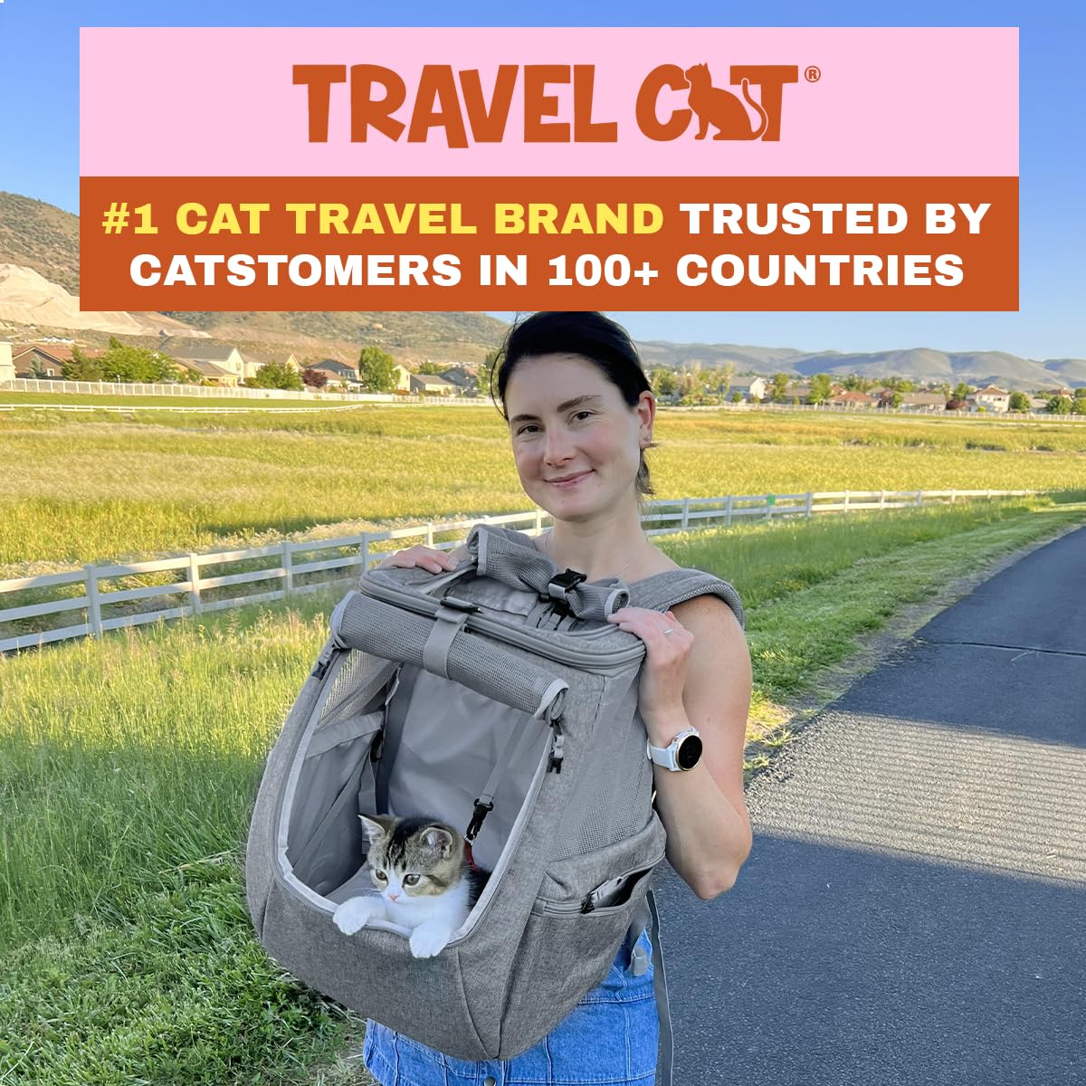 Grey Mesh Cat Carrier Bag with Side Pockets J245