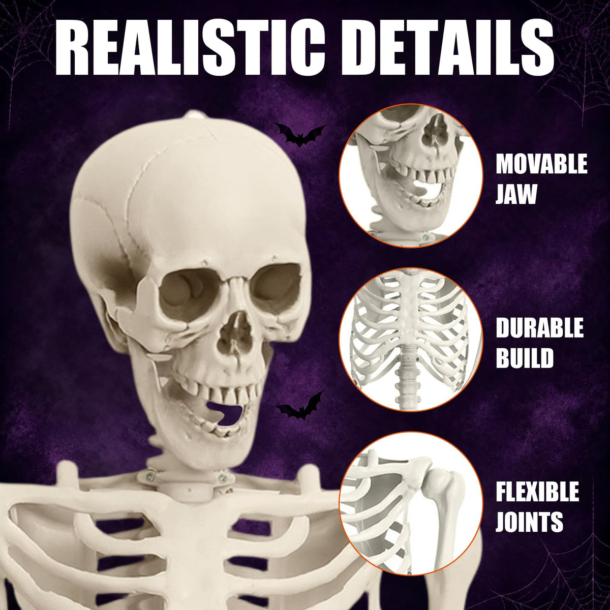 Life Size Full Body Skeleton Q516
