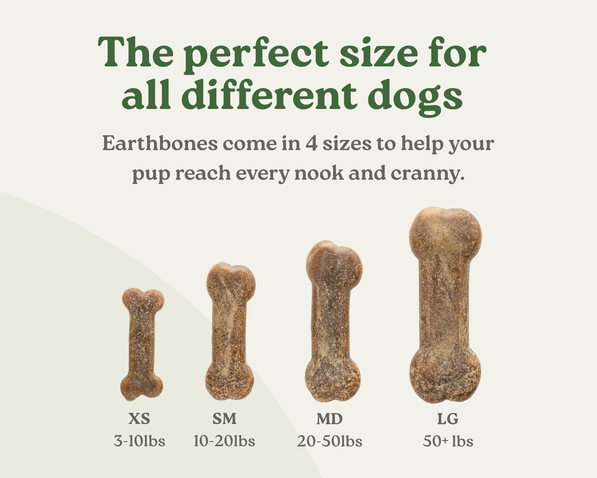 Dental Chews for Dogs 20-50lbs, 30 Bones U9627