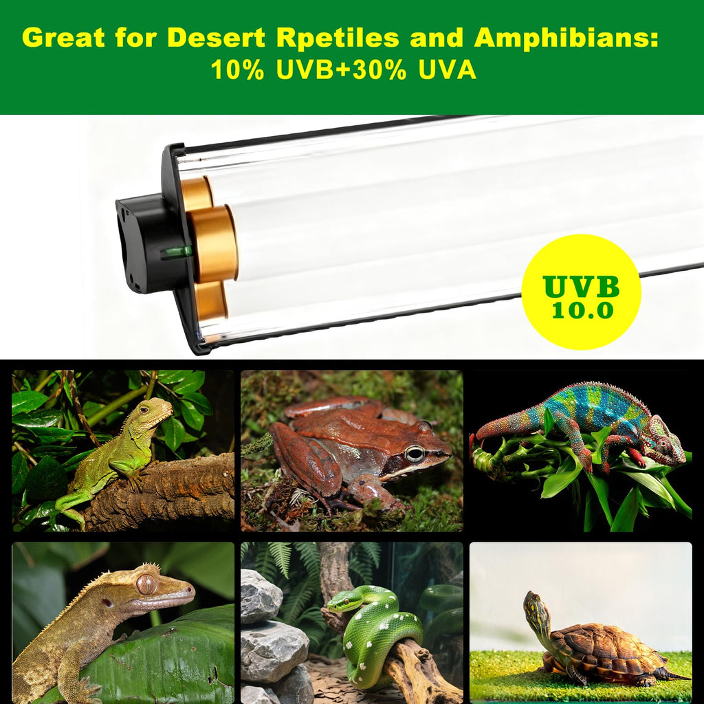 15W T5 HO UVB Terrarium Hood with Detachable Curved Reflector C2890