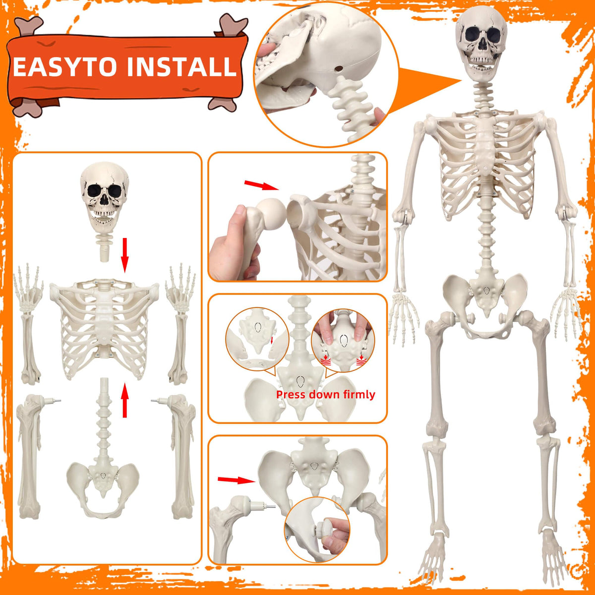 5.4Ft Movable Joints Plastic Skeleton F913253