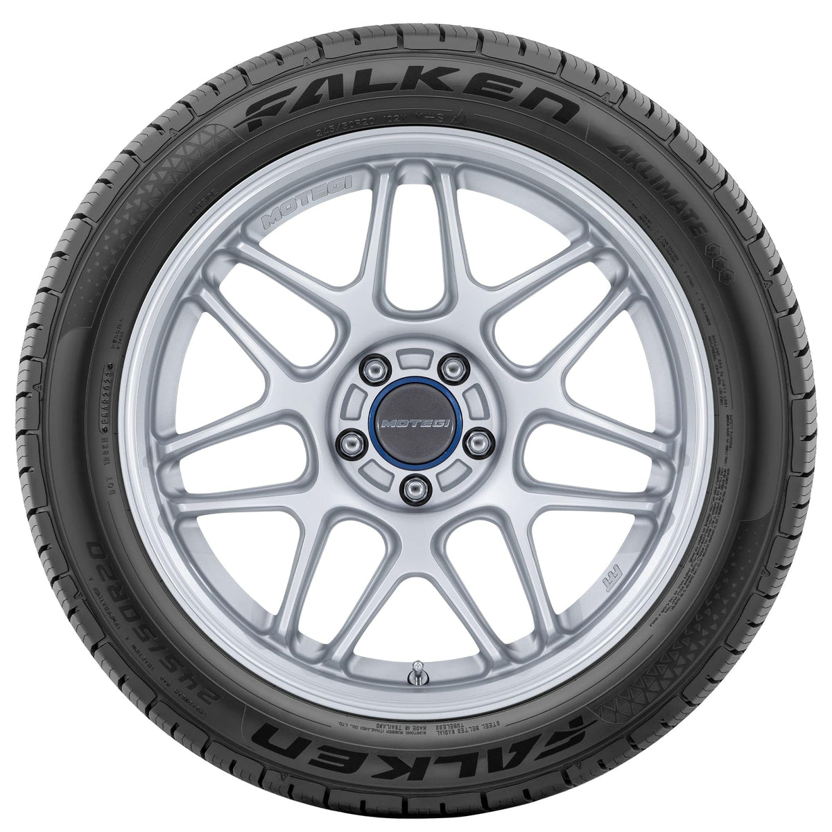 205/65R15 99H XL All Weather Passenger Tire R654