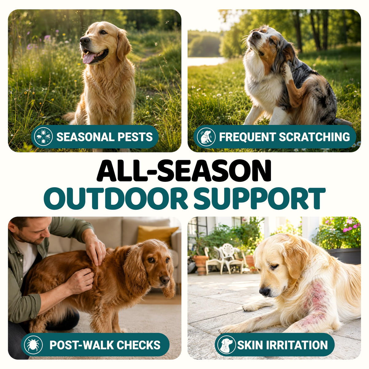 Chewable Flea and Tick Prevention for Dogs 240 Chews I513
