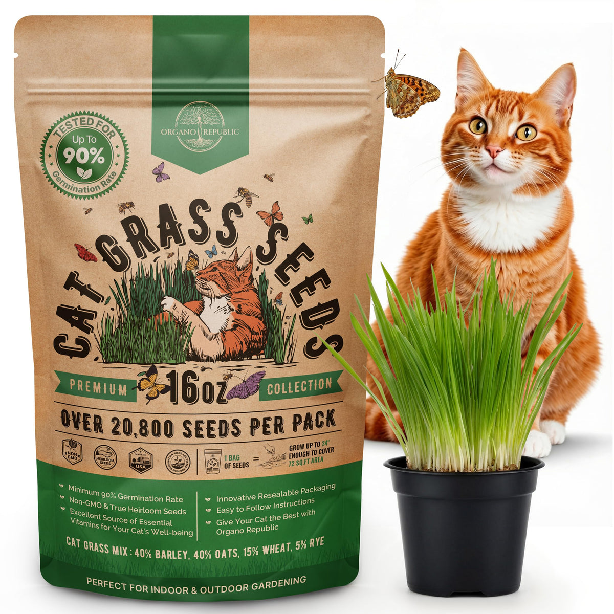 Cat Grass Seeds Mix 16 oz Non-GMO Heirloom R428