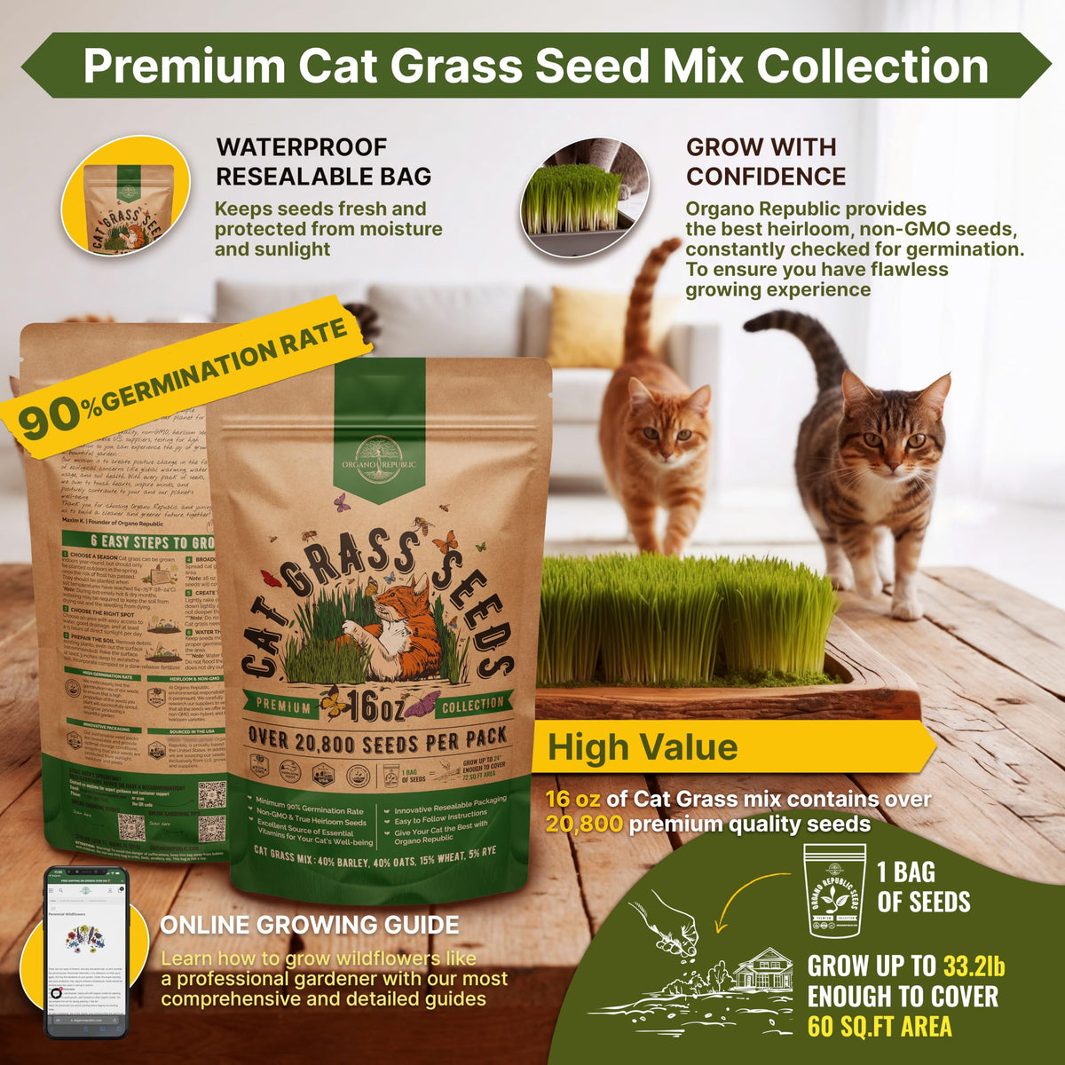 Cat Grass Seeds Mix 16 oz Non-GMO Heirloom R428
